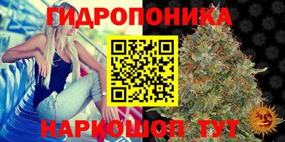 сатива Бугуруслан