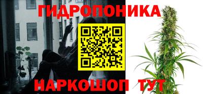 эйфоретик Будённовск