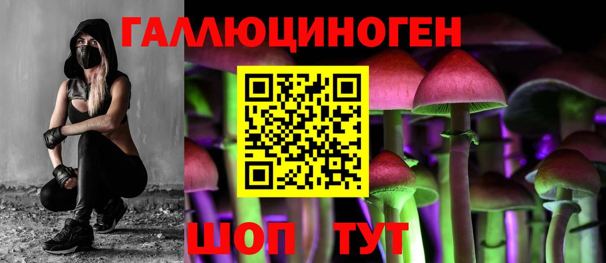 Галлюциногенные грибы Cubensis  Вход с VPN  Соль-Илецк 