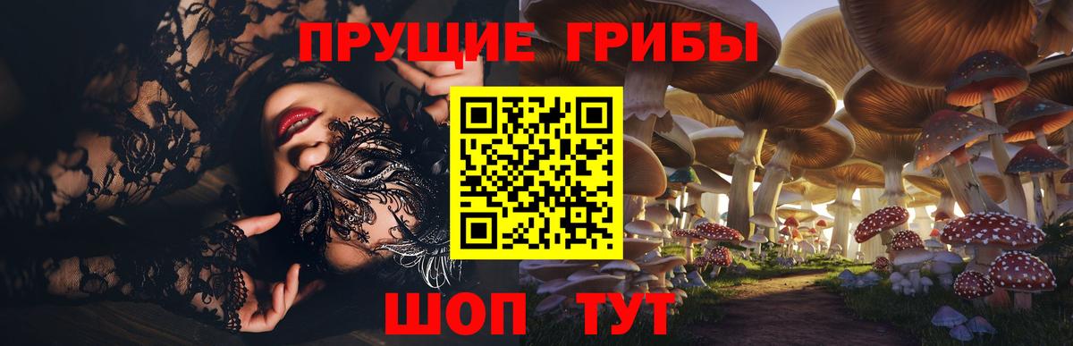 Галлюциногенные грибы Cubensis Соль-Илецк