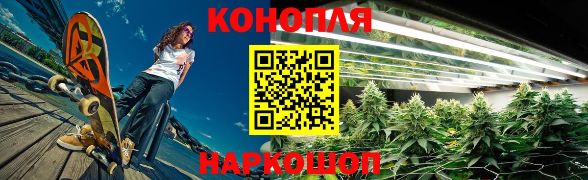 Бошки Шишки MAZAR  Канабис планчик  Соль-Илецк  Бошки Шишки план  Вход с VPN 